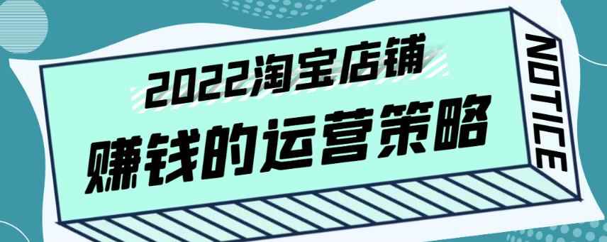 震宇老师·2022年淘宝店铺赚钱的运营策略，一套能够盈利的赚钱打法-咩咩网络