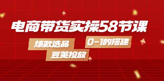 （4024期）电商带货实操58节课，爆款选品，豆荚投放，0-1的搭建-咩咩网络