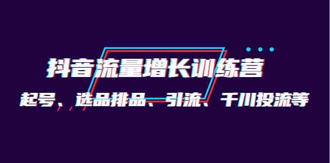 （4022期）月销1.6亿实操团队·抖音流量增长训练营：起号、选品排品、引流 千川投流等-咩咩网络