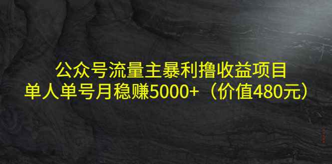 （4011期）公众号流量主暴利撸收益项目，单人单号月稳赚5000+（价值480元）-咩咩网络