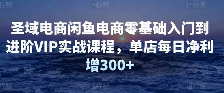 圣域电商闲鱼电商零基础入门到进阶VIP实战课程，单店每日净利增300+-咩咩网络