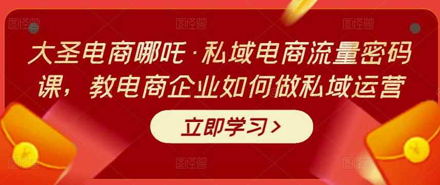 大圣电商哪吒·私域电商流量密码课，教电商企业如何做私域运营-咩咩网络
