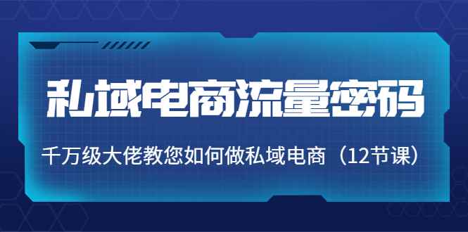 （3977期）私域电商流量密码：千万级大佬教您如何做私域电商（12节课）-咩咩网络