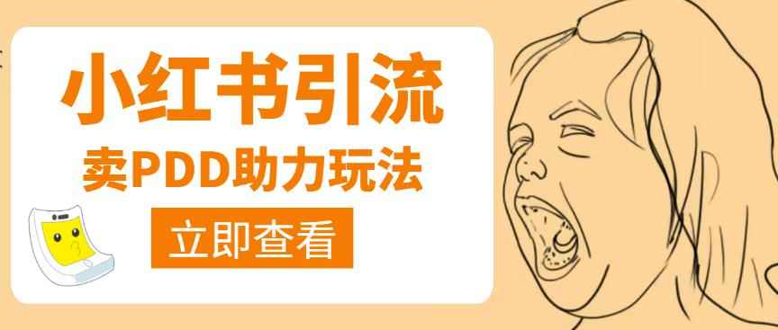 利用小红书卖拼多多助力，日赚100+，顺便还能引个流【视频课程】-咩咩网络