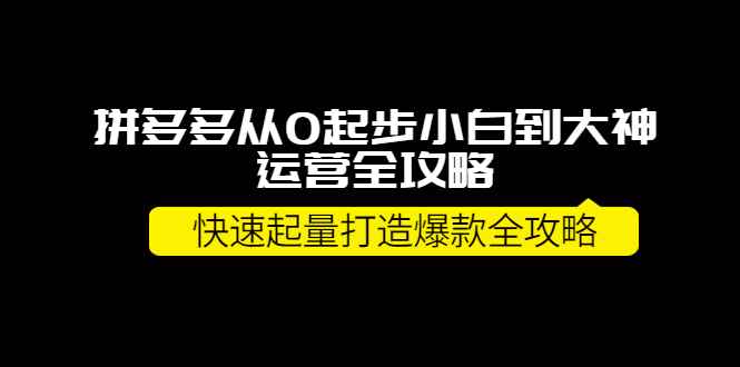 （3884期）拼多多从0起步小白到大神运营全攻略，快速起量打造10W+爆款全攻略！-咩咩网络