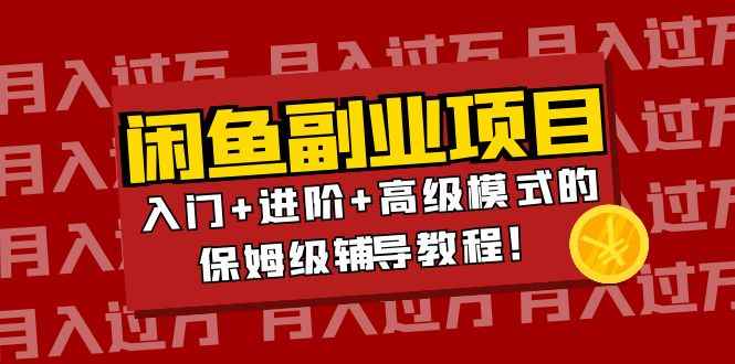 （3879期）月入过万闲鱼副业项目：入门+进阶+高级模式的保姆级辅导教程！-咩咩网络