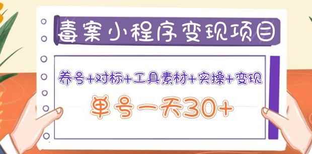 森罗万项毒案小程序变现项目：养号+对标+工具素材+实操+变现，单号一天30+-咩咩网络