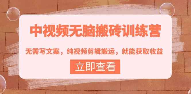 （3878期）中视频无脑搬砖训练营：无需写文案，纯视频剪辑搬运，就能获取收益！-咩咩网络