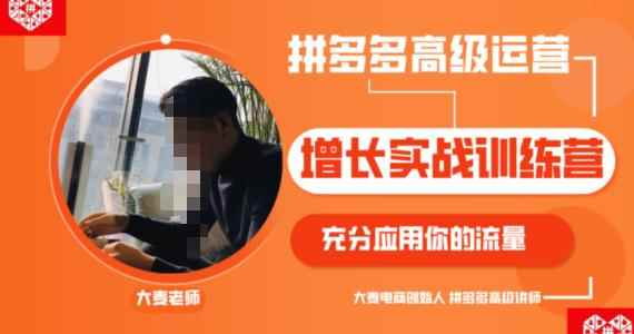 拼多多高级运营增长实战训练营，充分应用你的流量（拼多多2980元付费课程）-咩咩网络