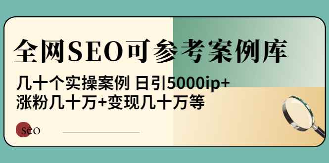 （3834期）《全网SEO可参考案例库》几十个实操案例 日引5000ip+涨粉百W+变现几十W等!-咩咩网络