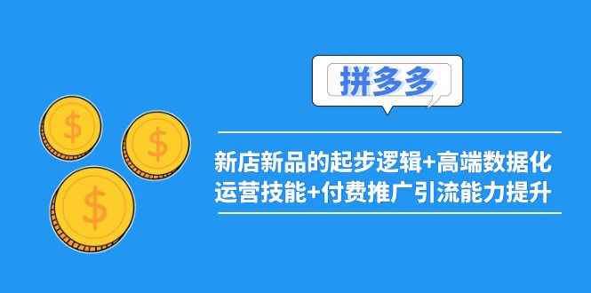 （3824期）2022拼多多：新店新品的起步逻辑+高端数据化运营技能+付费推广引流能力提升-咩咩网络