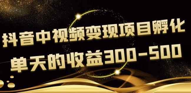 黄岛主抖音中视频变现项目孵化，单天的收益300-500操作简单粗暴-咩咩网络