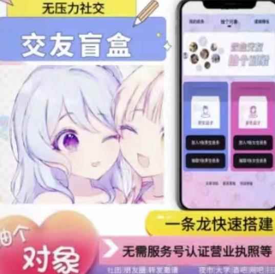 搭建交友盲盒网站，号称一天300—500＋【源码+教程】-咩咩网络
