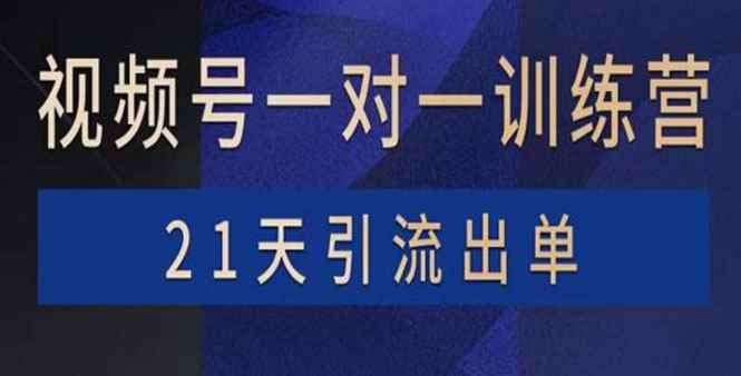（3678期）视频号训练营：带货，涨粉，直播，游戏，四大变现新方向，21天引流出单-咩咩网络
