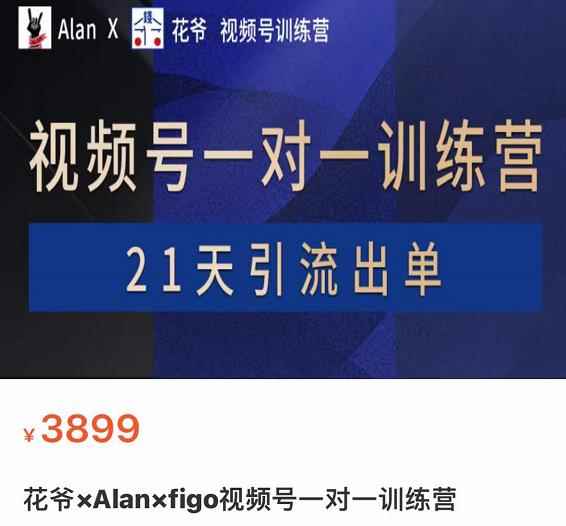 花爷×Alan×figo视频号训练营，带货，涨粉，直播，游戏，四大变现新方向，21天引流出单-咩咩网络
