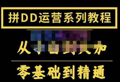 2022全套拼多多核心实操课程，从0-1轻松起链接实战，低投入高产出运作店铺-咩咩网络