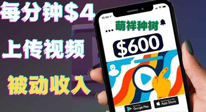 （3617期）只需要上传视频然后每分钟赚4美元项目：详细操作步骤，新手也可操作-咩咩网络