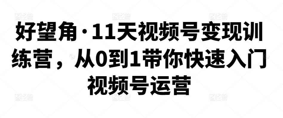 好望角·11天视频号变现训练营，从0到1带你快速入门视频号运营-咩咩网络