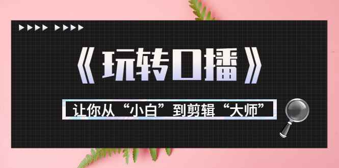 （3571期）月营业额700万+大佬教您《玩转口播》让你从“小白”到剪辑“大师”-咩咩网络
