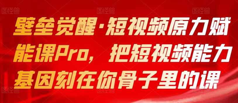 壁垒觉醒·短视频原力赋能课Pro，把短视频能力基因刻在你骨子里的课-咩咩网络