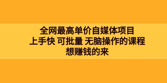 （3557期）全网最单高价自媒体项目：上手快 可批量 无脑操作的课程，想赚钱的来-咩咩网络
