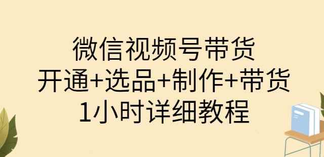 陈奶爸·微信视频号带货：开通+选品+制作+带货（1小时详细教程）-咩咩网络
