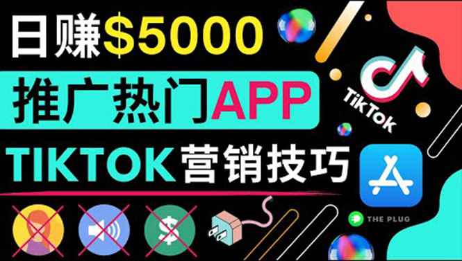 （3486期）无需露脸，无需录音，无需投资，TIKTOK上传短视频，最高日入5000美元-咩咩网络