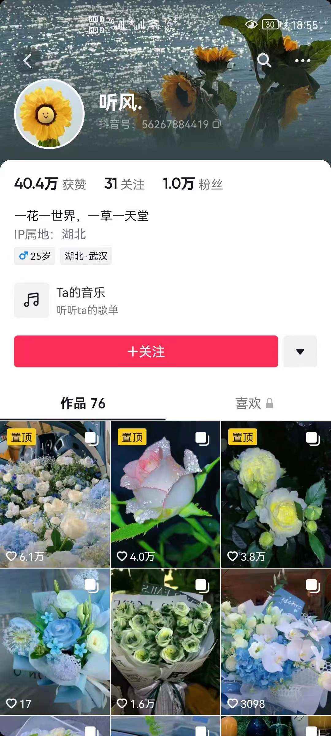 图片[3]-（3488期）抖音壁纸变现项目：实战日入380+发布壁纸素材获取收益！-咩咩网络