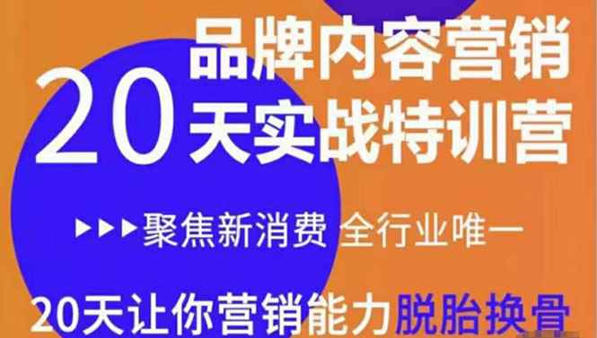 （3461期）《内容营销实操特训营》20天让你营销能力脱胎换骨（价值3999）-咩咩网络