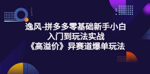 逸风-拼多多零基础新手小白入门到玩法实战《高溢价》异赛道爆单玩法实操课-咩咩网络