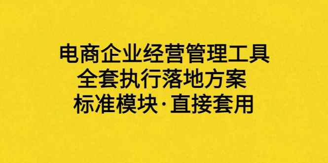 （3439期）外面卖198·电商企业经营管理工具：全套执行落地方案 标准模块·直接套用-咩咩网络