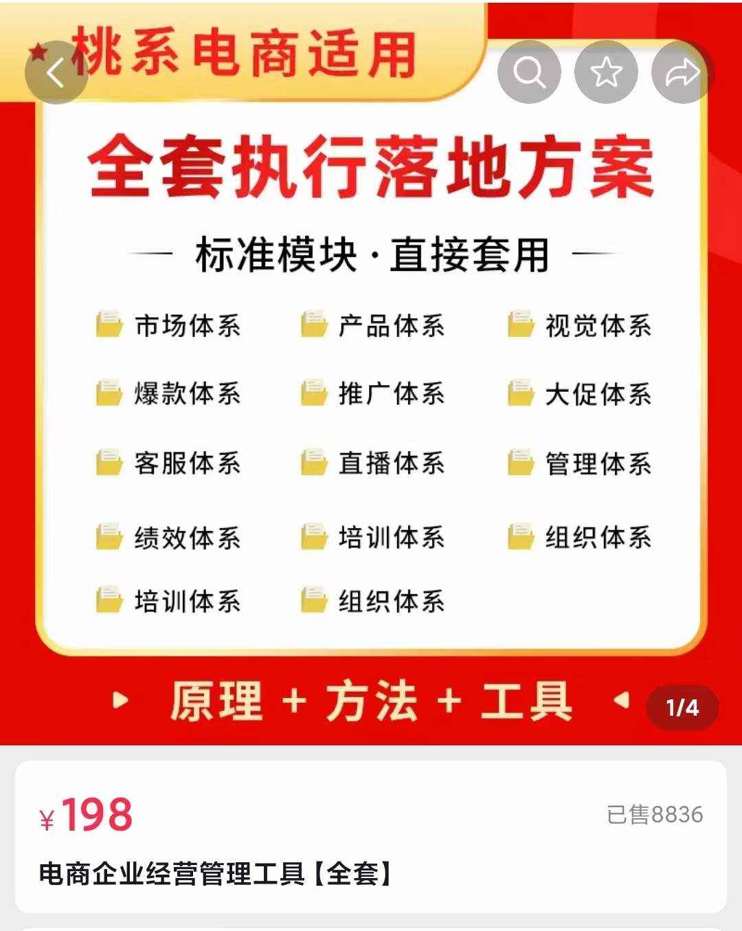 图片[2]-（3439期）外面卖198·电商企业经营管理工具：全套执行落地方案 标准模块·直接套用-咩咩网络