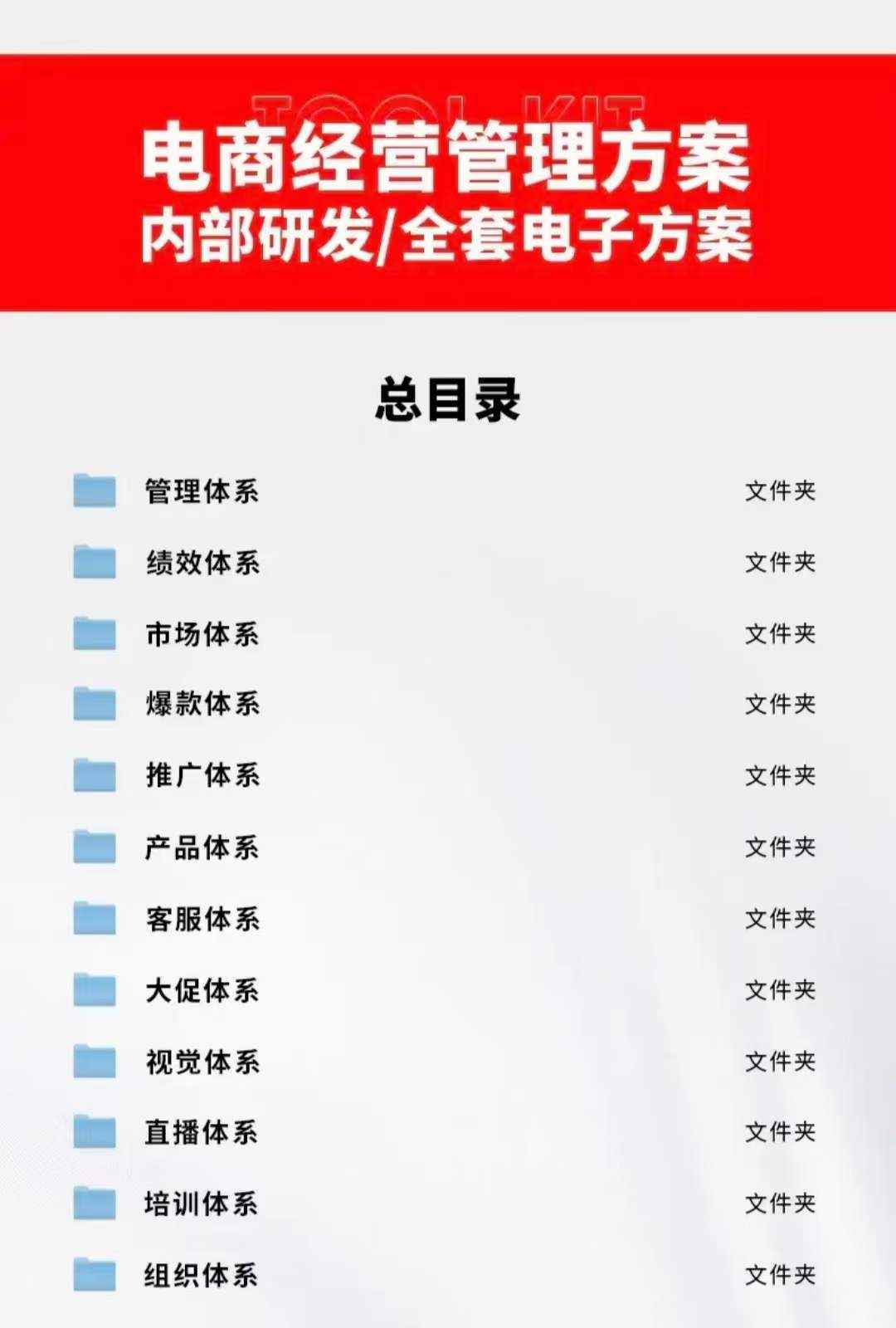 图片[3]-（3439期）外面卖198·电商企业经营管理工具：全套执行落地方案 标准模块·直接套用-咩咩网络