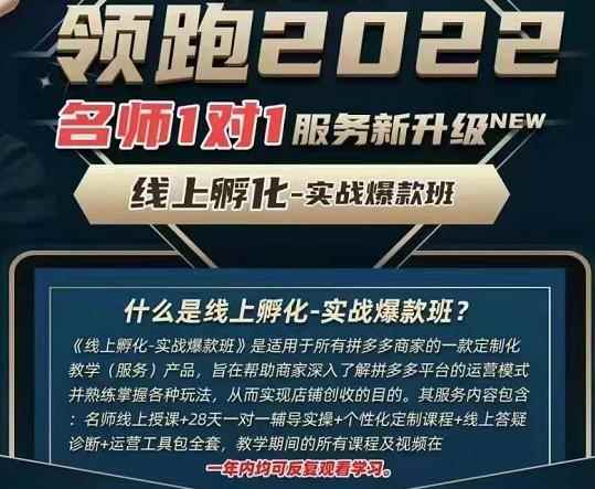 牛气学堂老陶电商【第9期】，拼多多名师线上领跑28天，线上孵化-实战爆款班-咩咩网络