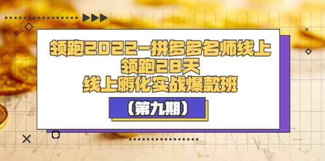 （3370期）领跑2022-拼多多名师线上领跑28天，线上孵化实战爆款班（第九期）-咩咩网络
