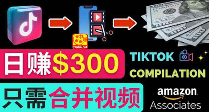（3360期）搬运Tiktok短视频到Youtube赚钱，只需下载，合并视频，日赚300美元-咩咩网络