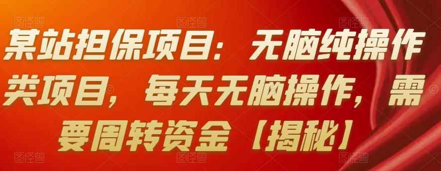 某站担保项目：无脑纯操作类项目，每天无脑操作，需要周转资金【揭秘】-咩咩网络