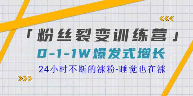 （3263期）「粉丝裂变训练营」0-1-1w爆发式增长，24小时不断的涨粉-睡觉也在涨-16节课-咩咩网络