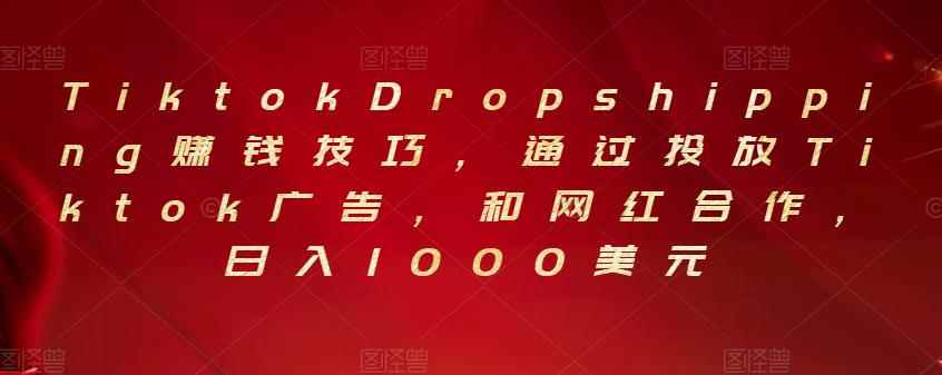Tiktok Dropshipping赚钱技巧，通过投放Tiktok广告，和网红合作，日入1000美元-咩咩网络