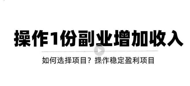 （3217期）新手如何通过操作副业增加收入，从项目选择到玩法分享！【视频教程】-咩咩网络