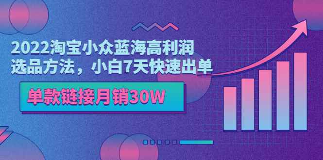 （3208期）2022淘宝小众蓝海高利润选品方法，小白7天快速出单，单款链接月销30W-咩咩网络