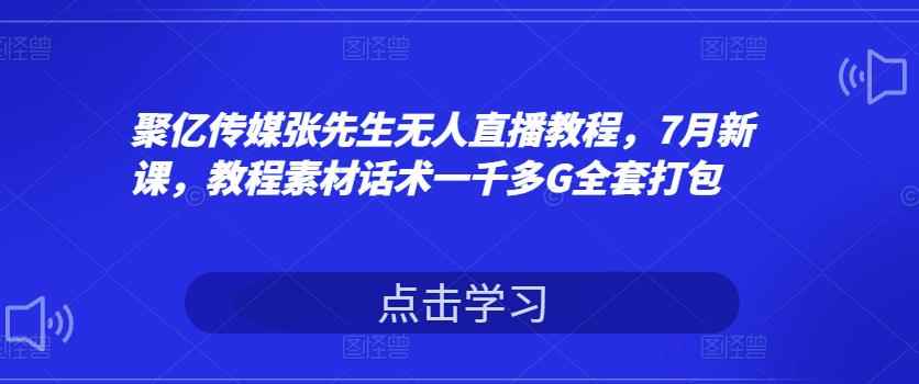 聚亿传媒张先生无人直播教程，7月新课，教程素材话术一千多G全套打包-咩咩网络