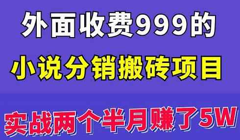 外面收费999的小说分销搬砖项目：实战两个半月赚了5W块，操作简单！-咩咩网络