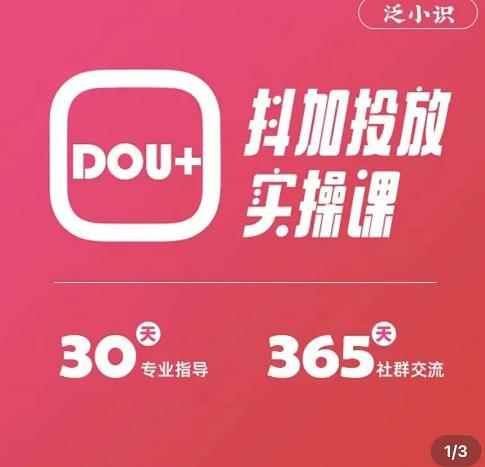 图片[1]-（3190期）泛小识精品课系列：抖加投放实操课，干货慢慢，新手必学（12节视频课）-咩咩网络