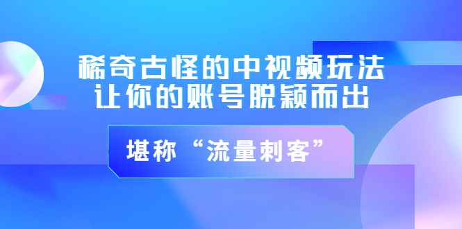 （3159期）稀奇古怪的中视频玩法，让你的账号脱颖而出，堪称“流量刺客”（图文+视频)-咩咩网络