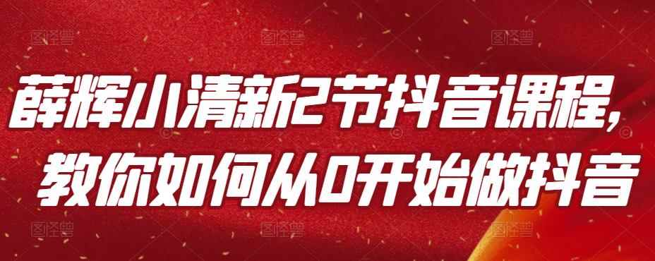 薛辉小清新2节抖音课程，教你如何从0开始做抖音-咩咩网络