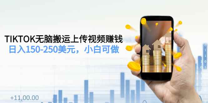 （3142期）TIKTOK无脑搬运上传视频赚钱，日入150-250美元，小白可做（2节视频课）-咩咩网络