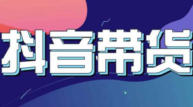 （3133期）抖音直播带货入门必学教程，教快速上手抖音直播带货（13节课）-咩咩网络