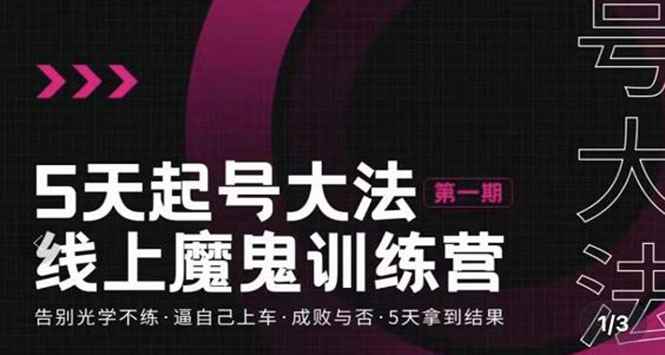 （3121期）五天起号魔鬼训练营，告别光学不练，逼自己上车，成败与否，5天拿到结果-咩咩网络