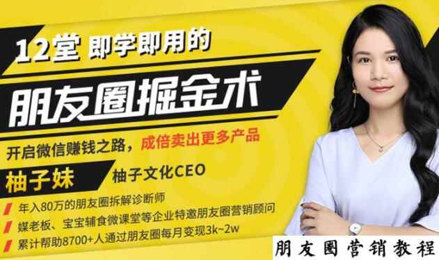 【营销必学】12堂学之即用的朋友圈掘金术：开启你的副业赚钱之路-咩咩网络
